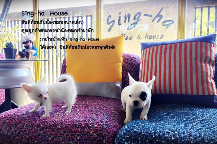 Pet Friendly 19 of 27