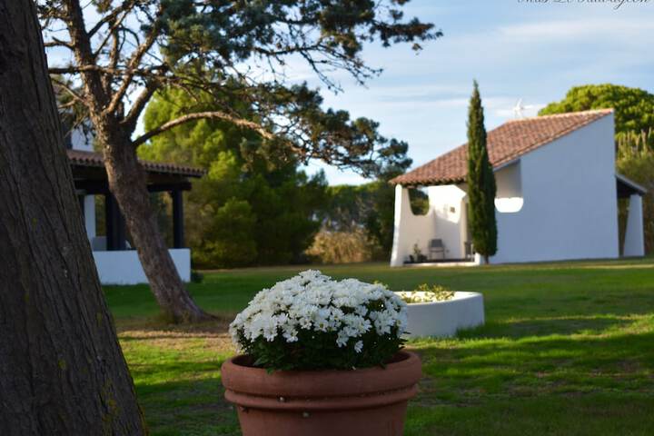 Hôtel Mas le Sauvageon in Saintes-Maries-de-la-Mer