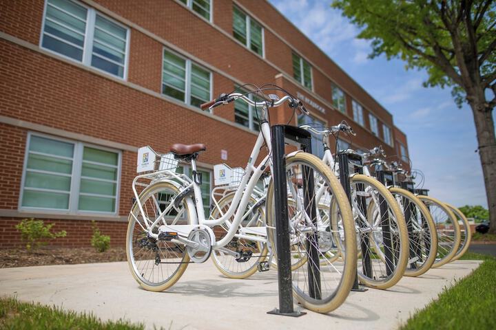 Outdoor Activities 30 of 39