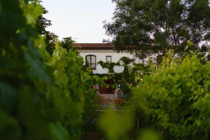 General 96 of 122