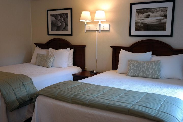 Room 6 of 100