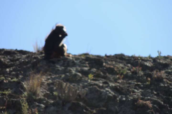 Hotel Exterior 47 of 52