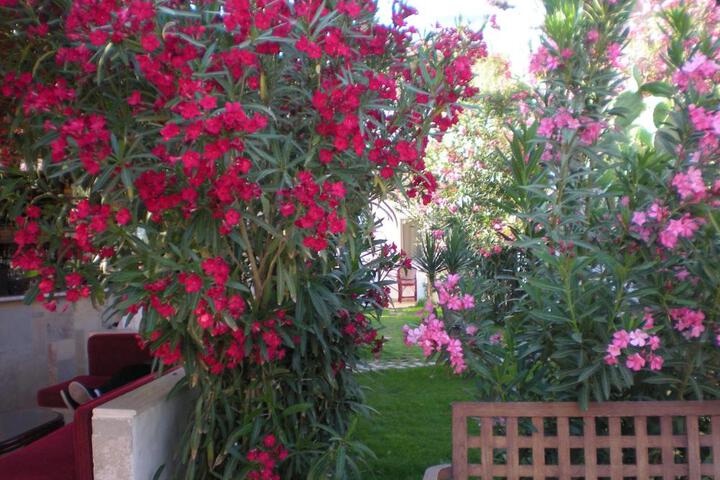 General 67 of 100