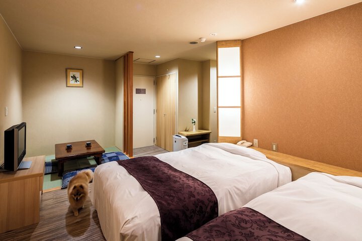 Room 4 of 84