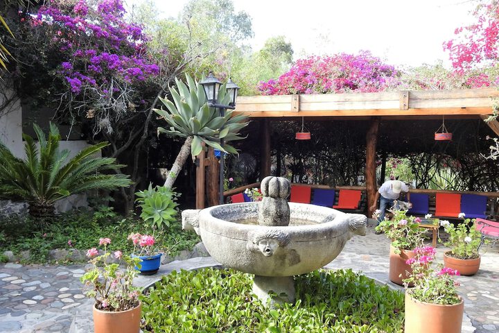 Terrace/Patio 31 of 36