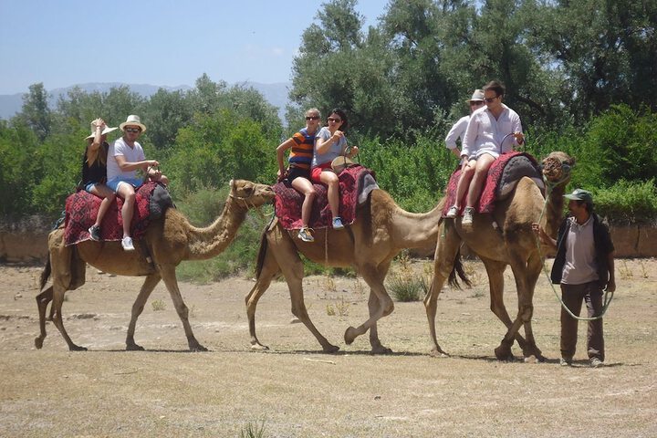 Outdoor Activities 4 of 9