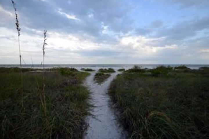 Beach 14 of 63