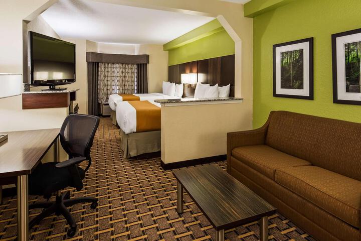 Suite 1 King Bed Sofa Bed Work Desk Microwave and Refrigerator WiFi Full Breakfast (12 of 18)