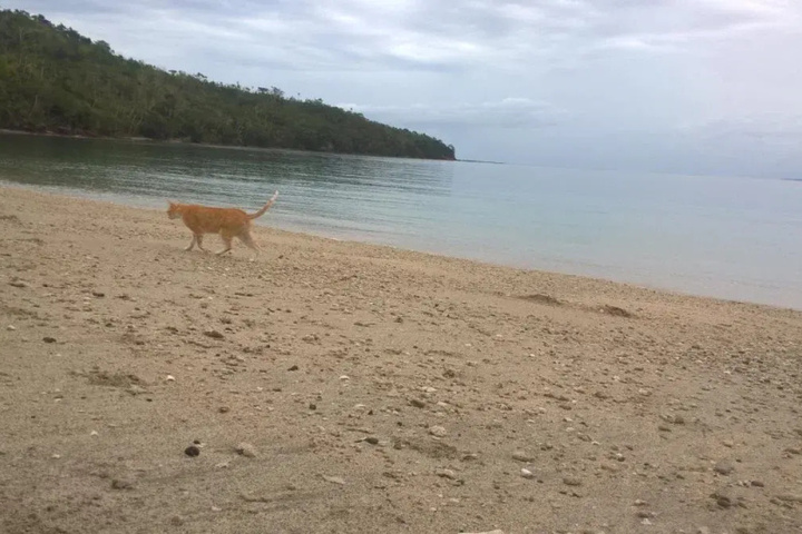 Beach 11 of 23