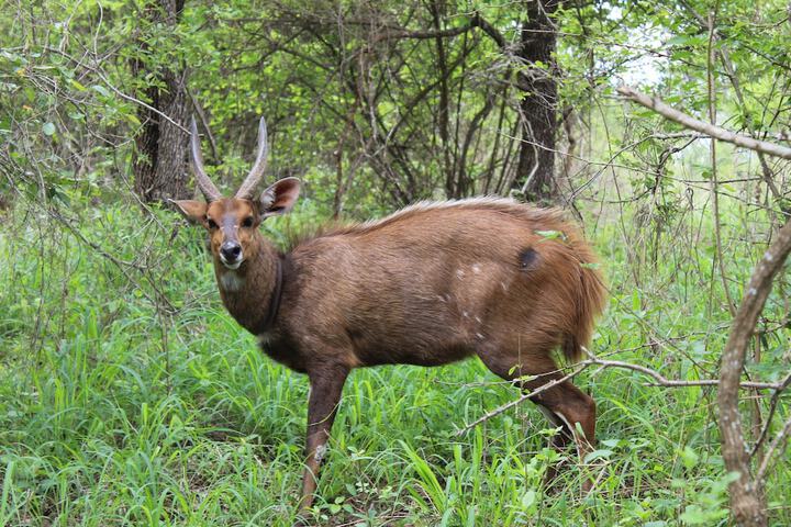 Property Grounds 17 of 24