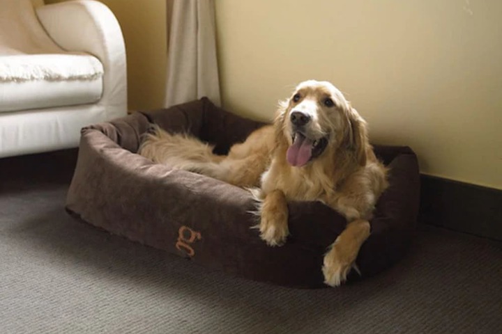 Pet Friendly 36 of 49