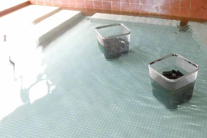 Spa and Wellness