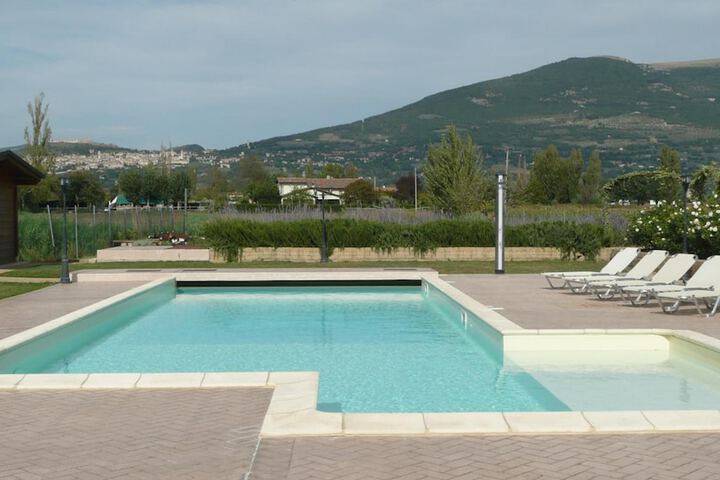 Pool 23 of 91