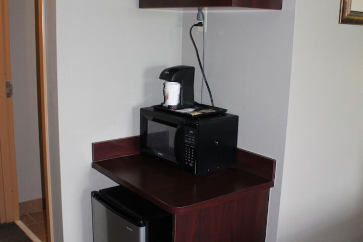 Mini-refrigerator