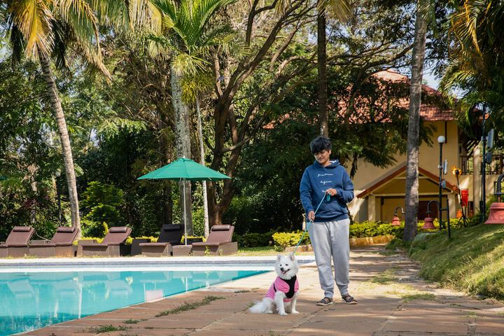 Pet Friendly 46 of 92