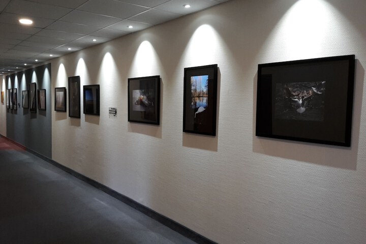 Ballroom/Hall 60 of 68
