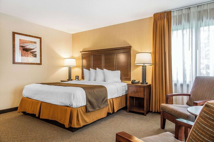 Standard | King Bed (13 of 23)