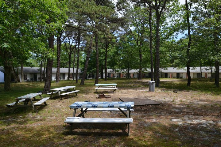 BBQ/picnic area