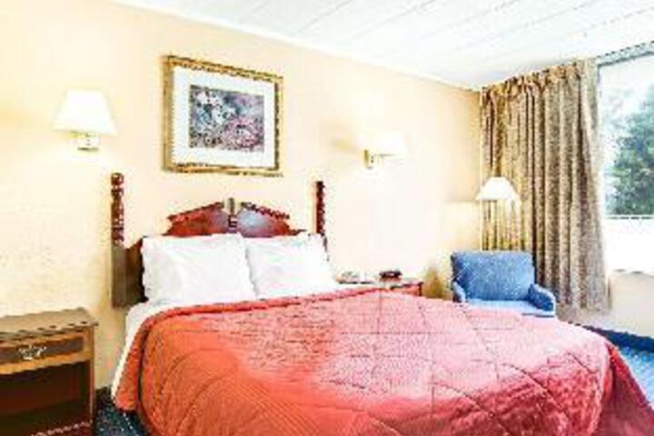 2 Queen Beds (8 of 14)