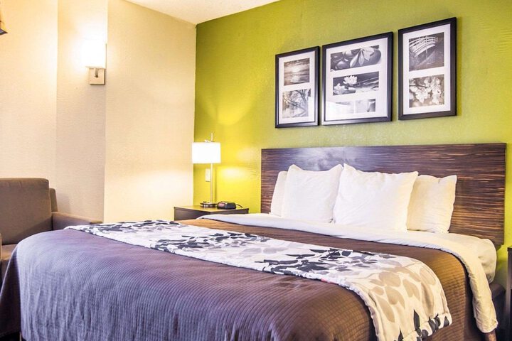 1 King Bed Pet Friendly (7 of 7)