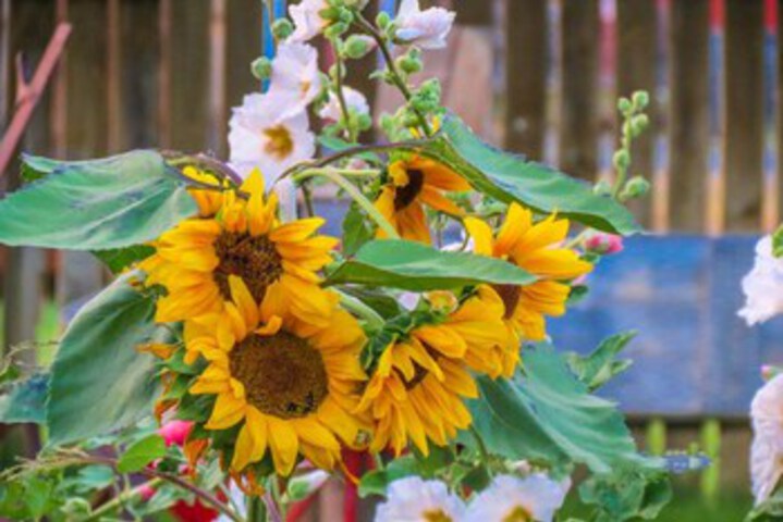 Hotel Exterior 8 of 25