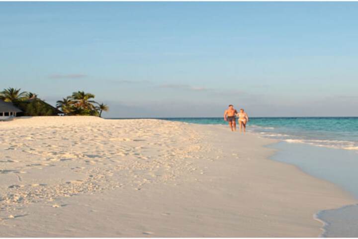 Beach 92 of 134