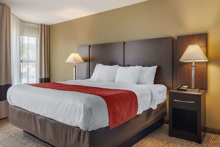1 King Bed (1 of 8)