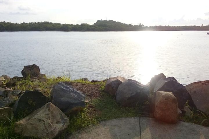 Property Grounds 36 of 58