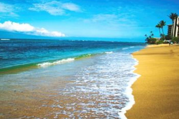 Beach 19 of 67