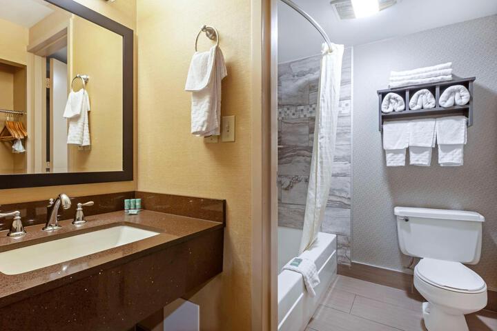 1 King Bed Refrigerator WiFi Continental Breakfast (1 of 19)