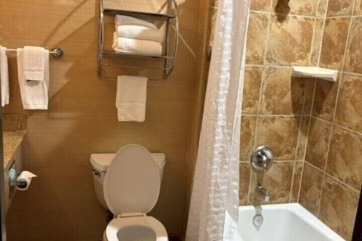 Bathroom Interior Photo