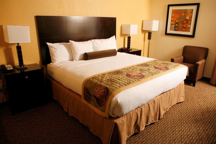 1 King Bed Microwave, Refrigerator WiFi Full Breakfast (9 of 11)