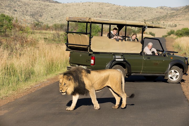 Game viewing