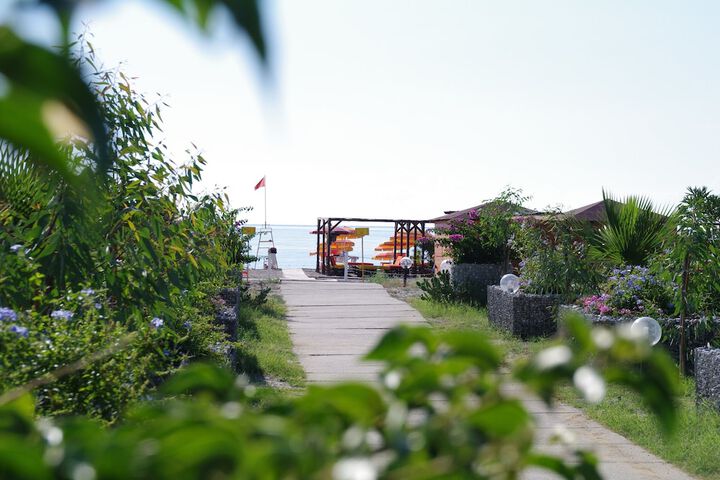 Beach 39 of 51