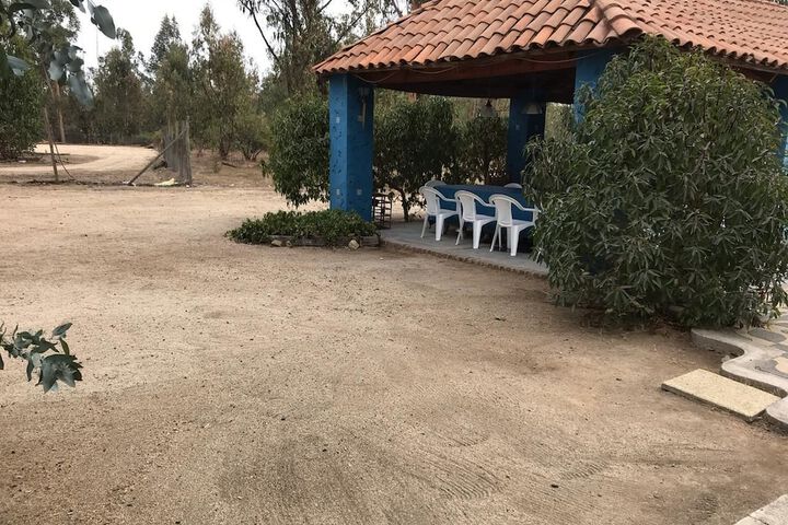 Property Grounds 38 of 49