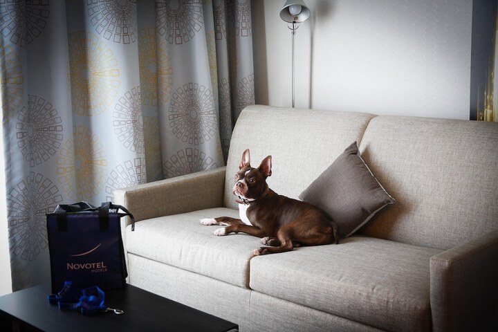 Pet Friendly 45 of 75