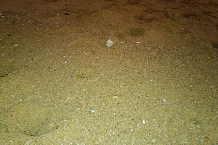 Beach 14 of 67