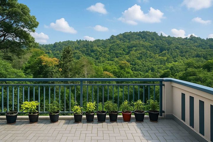 Terrace/Patio 49 of 134