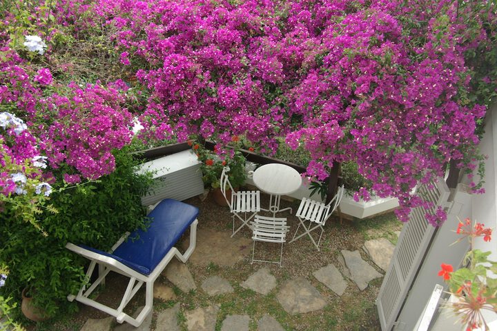 Terrace/Patio 20 of 26