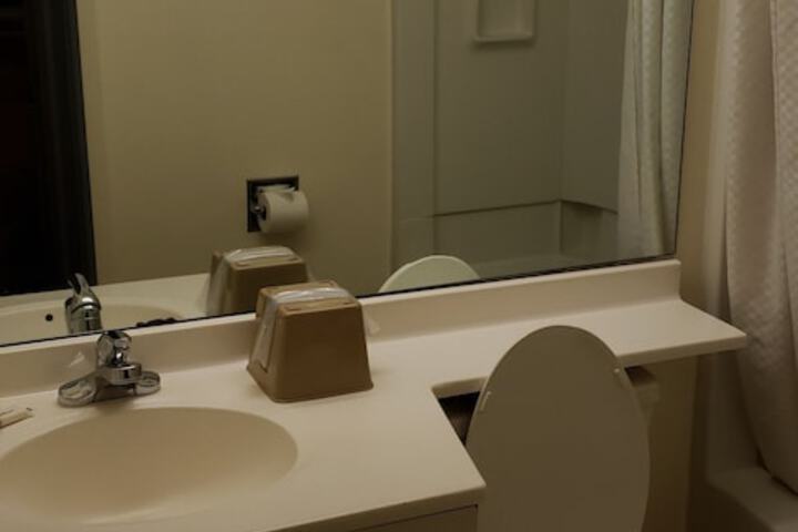 Bathroom sink