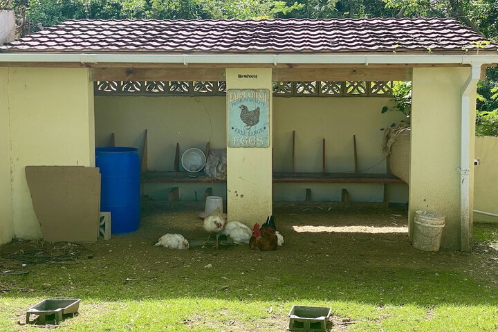Property Grounds 19 of 25