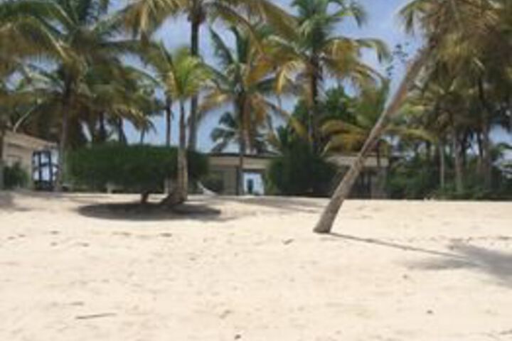 Beach 10 of 31