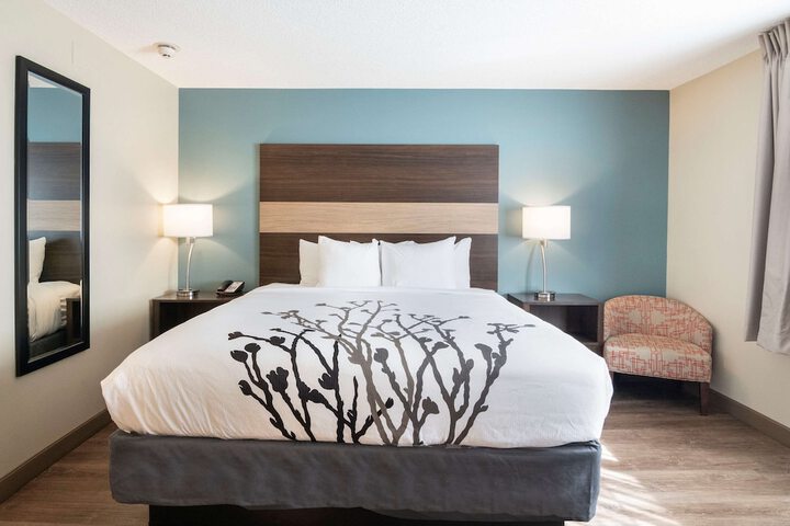 1 King Bed (6 of 11)