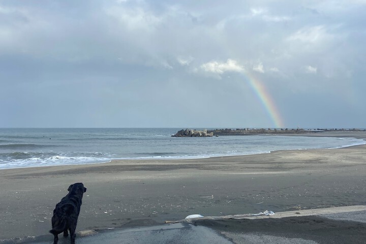Beach 152 of 172