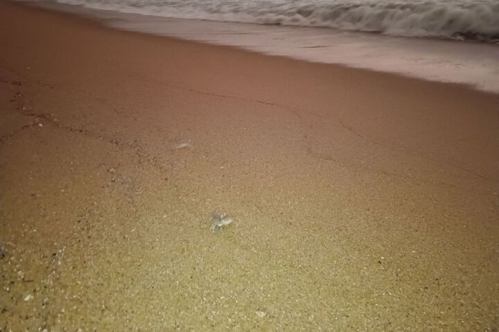 Beach 25 of 67