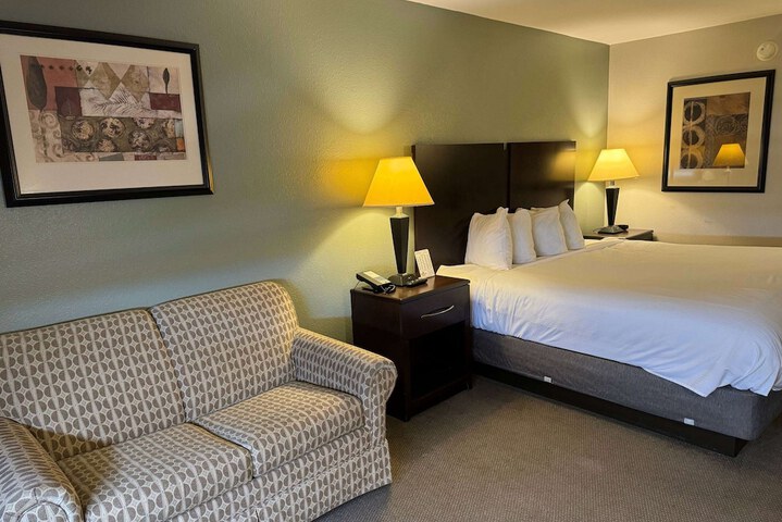 1 King Bed (10 of 17)