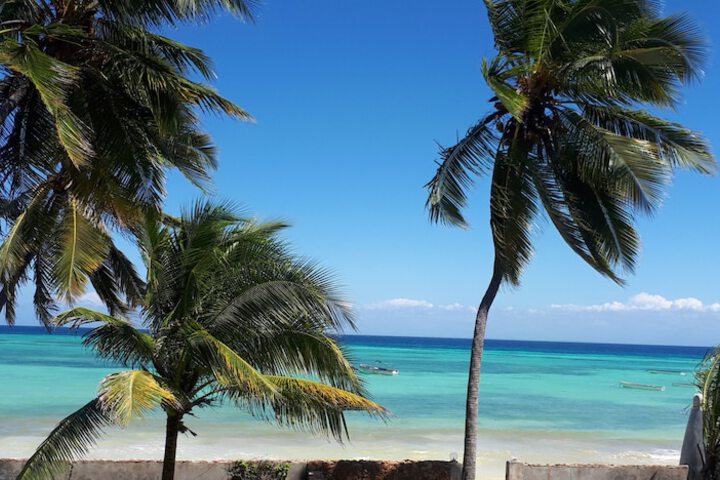 Beach 46 of 57