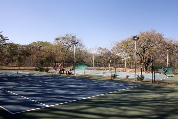 Tennis court