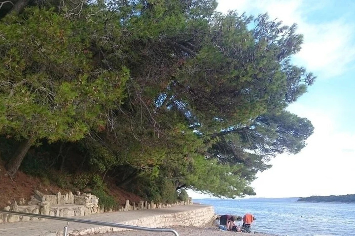 Beach 14 of 20