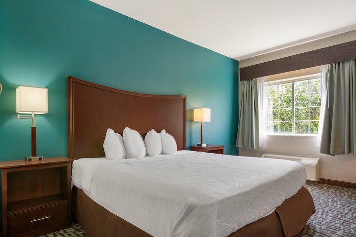 1 King Bed Bathtub Accessible (8 of 23)